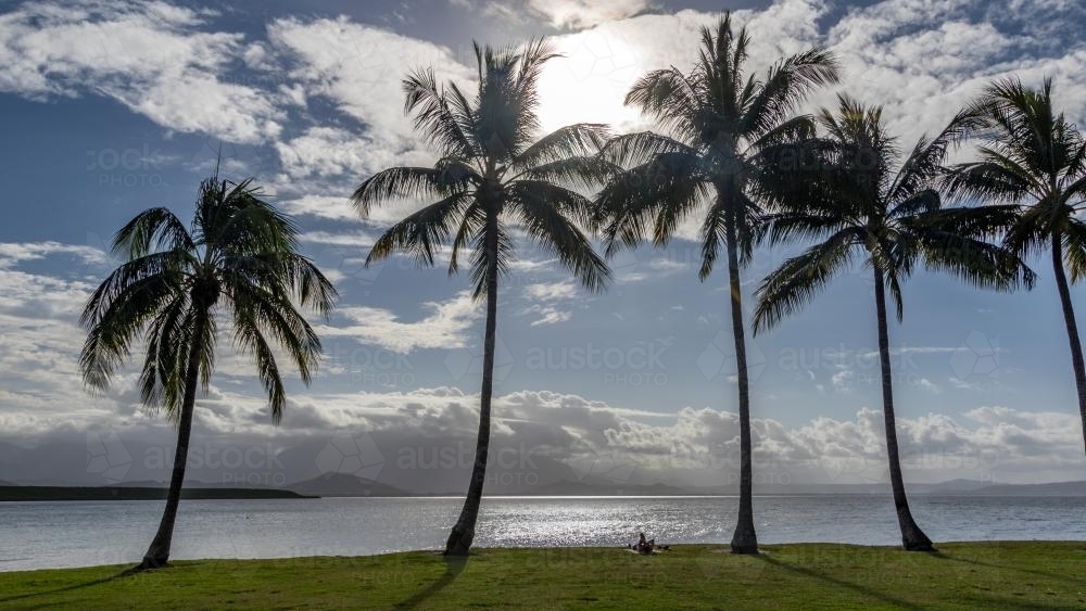 Palm trees overlooking the ocean with sunbather - Australian Stock Image