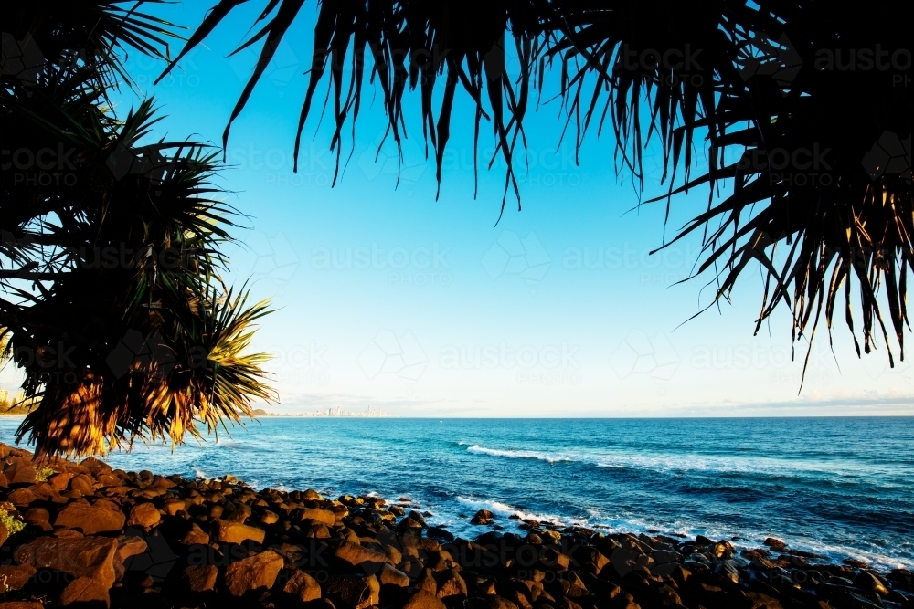 Pandanus frames the view from Burleigh Heads north to the Gold Coast - Australian Stock Image