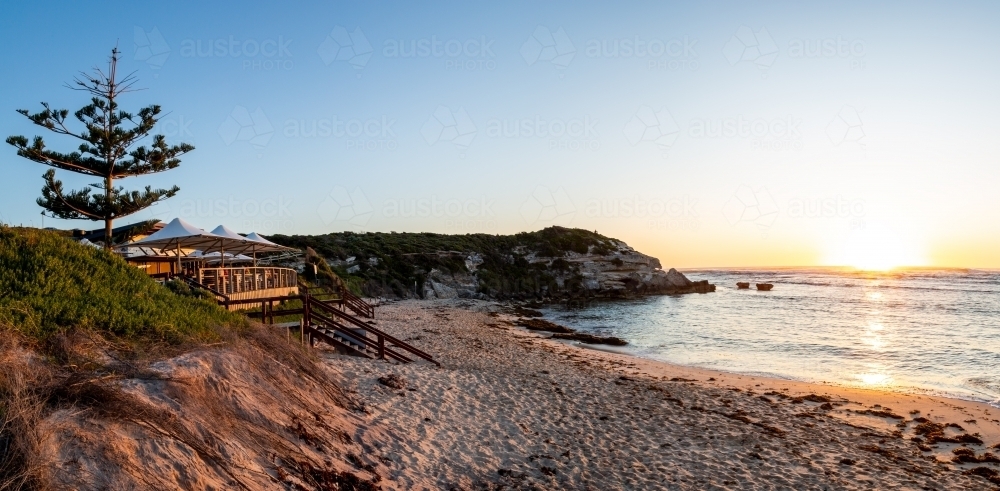 Panorama of pine tree, beach, headland, and ocean at sunset. - Australian Stock Image