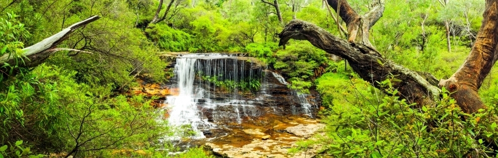 Panorama of Weeping Rock waterfall on Jamison Creek in the Blue Mountains of New South Wales - Australian Stock Image
