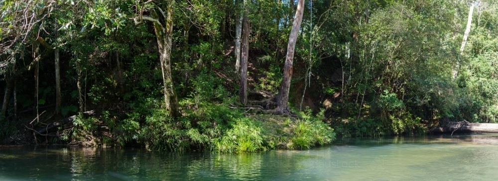 Panorama shot of green pond in bushland - Australian Stock Image