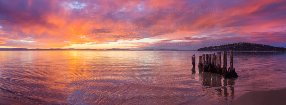 Image of Panorama view of a colourful sunrise reflected in a calm ocean ...