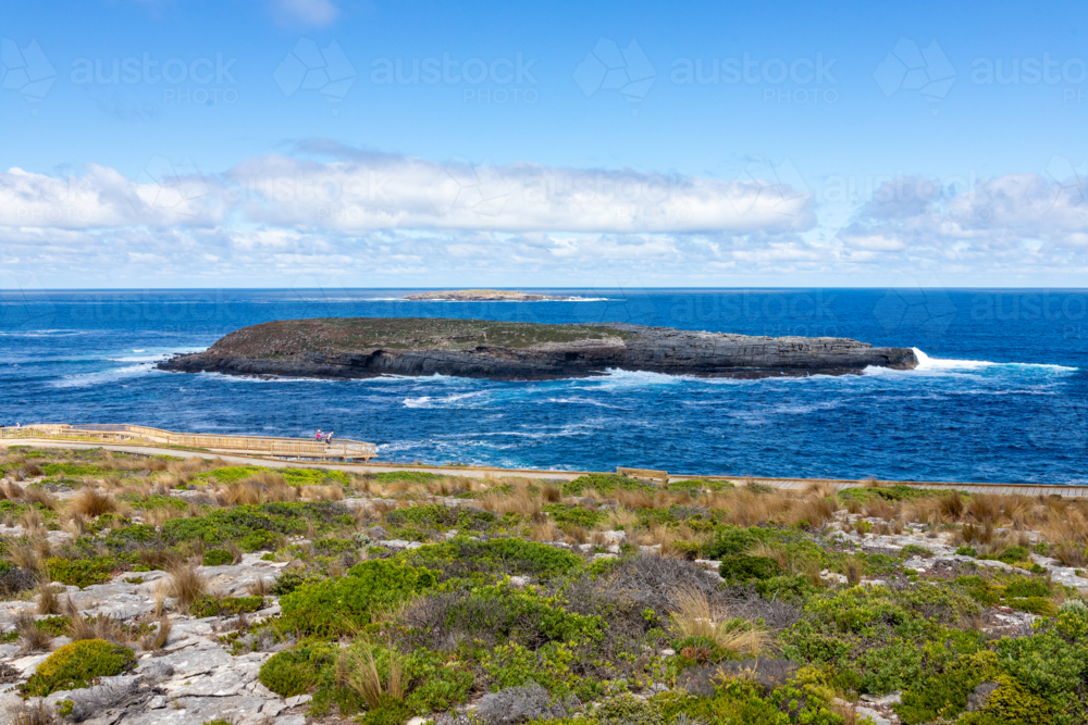 Panoramic View of Admirals Arch Rocky Island and Crashing Waves, Kangaroo Island - Australian Stock Image