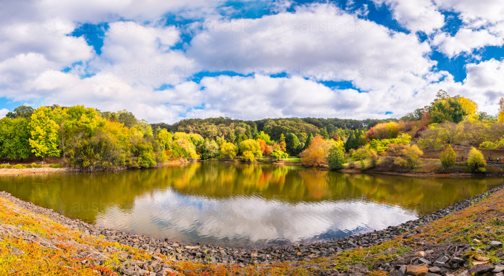 Panoramic view of Mount Lofty Botanic Garden with the pond during autumn season on a day - Australian Stock Image