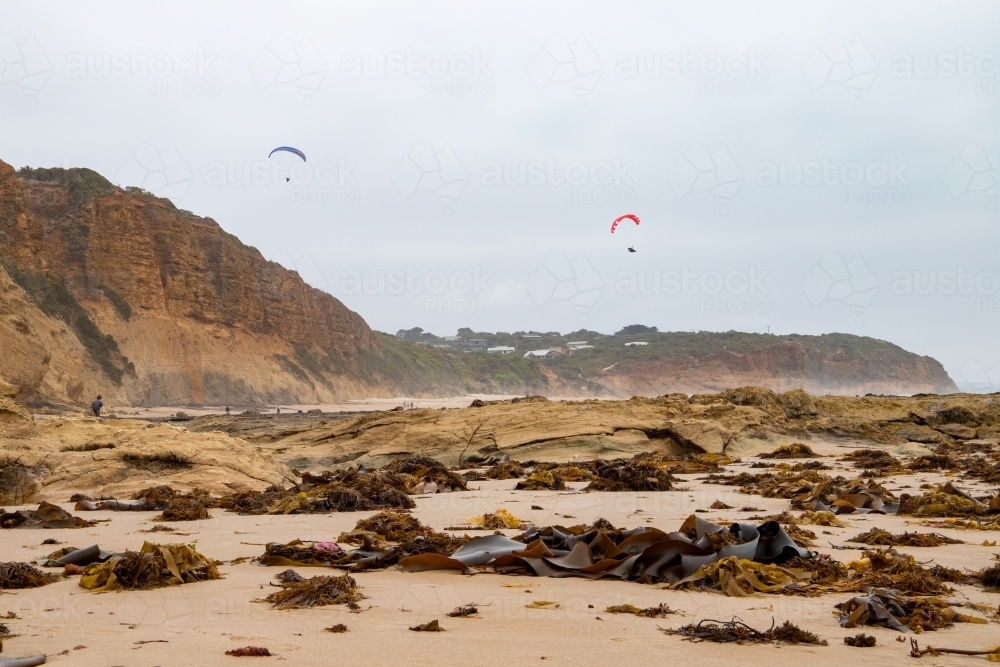 paragliders over beach - Australian Stock Image