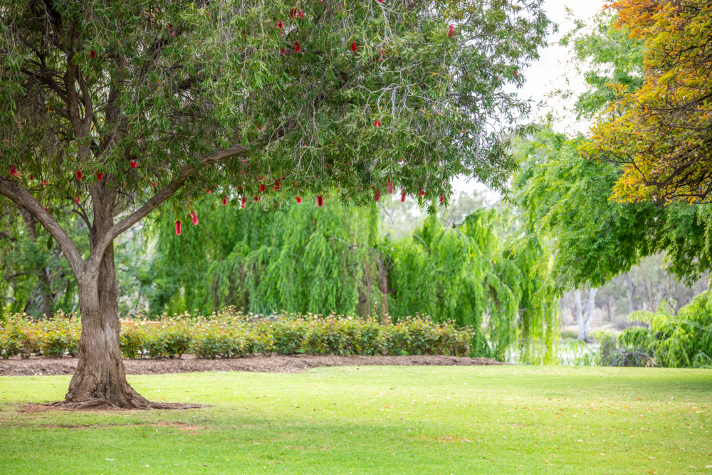 Park on a quiet day - Australian Stock Image