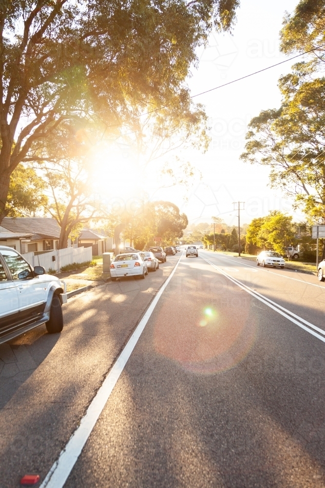 Parked cars on the side of a Newcastle road with sun flare through gum trees - Australian Stock Image