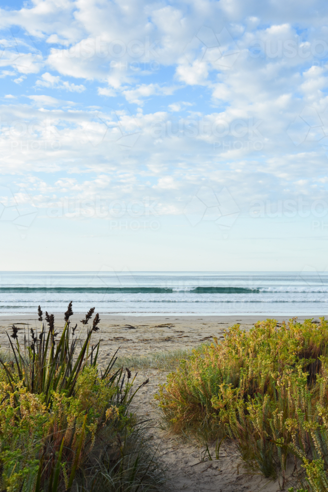 Path leading to beach in the early morning - Australian Stock Image
