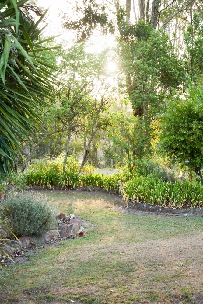 Path through green garden in summer afternoon - Australian Stock Image