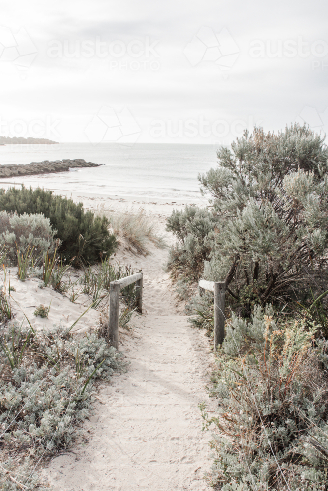 Path to beach with coastal shrubs - Australian Stock Image
