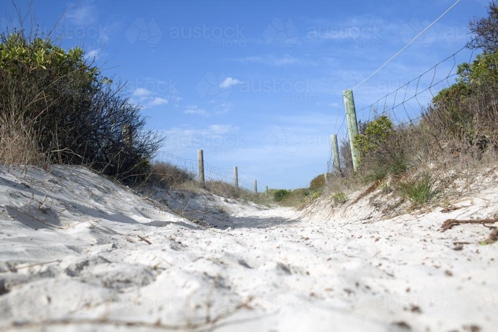 Path to remote beach - Australian Stock Image
