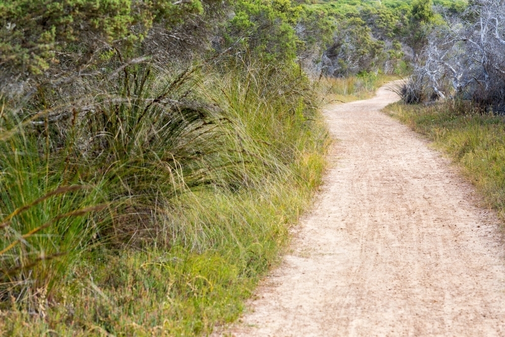 Path winding through bushes - Australian Stock Image