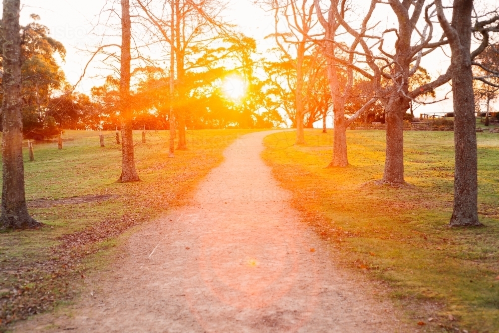 pathway in strong afternoon light - Australian Stock Image