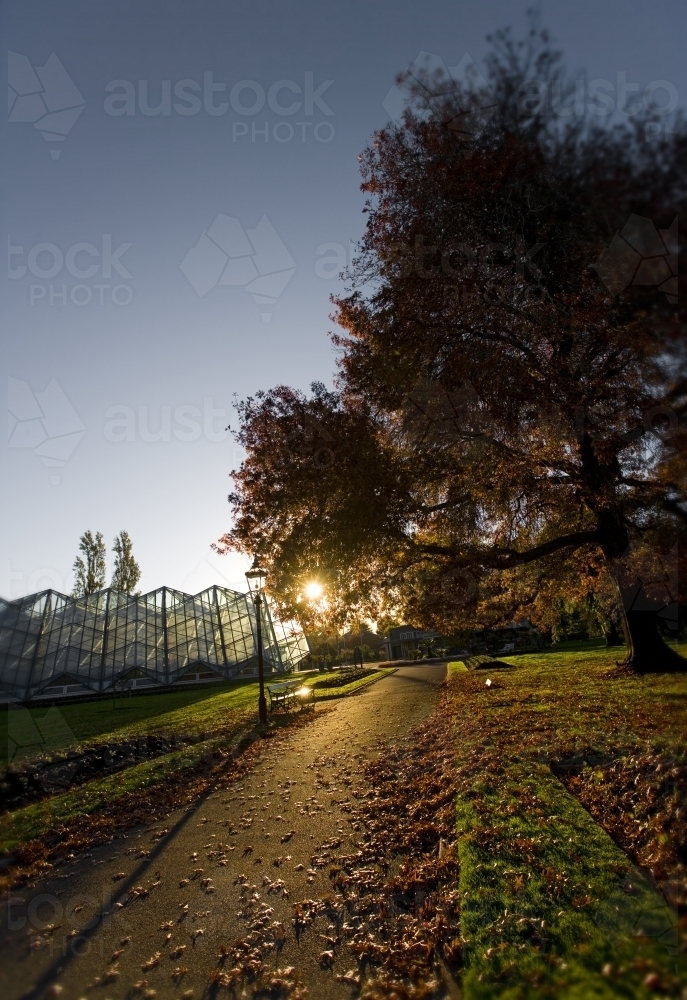 Pathway leading through gardens at sunset - Australian Stock Image