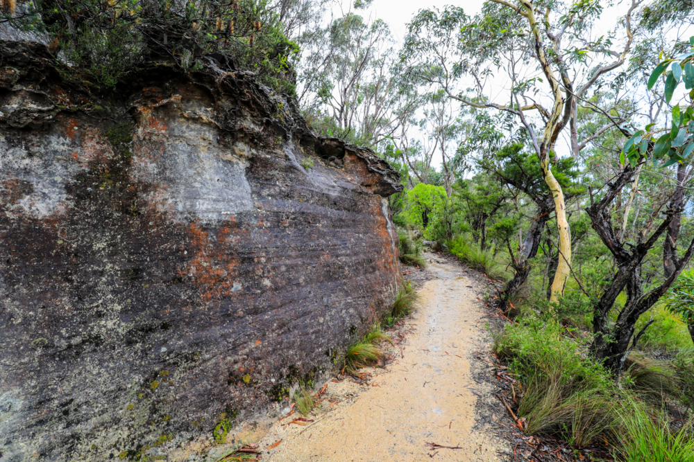 Pathway leading to Anvil Hill Lookout in New South Wales, Australia - Australian Stock Image