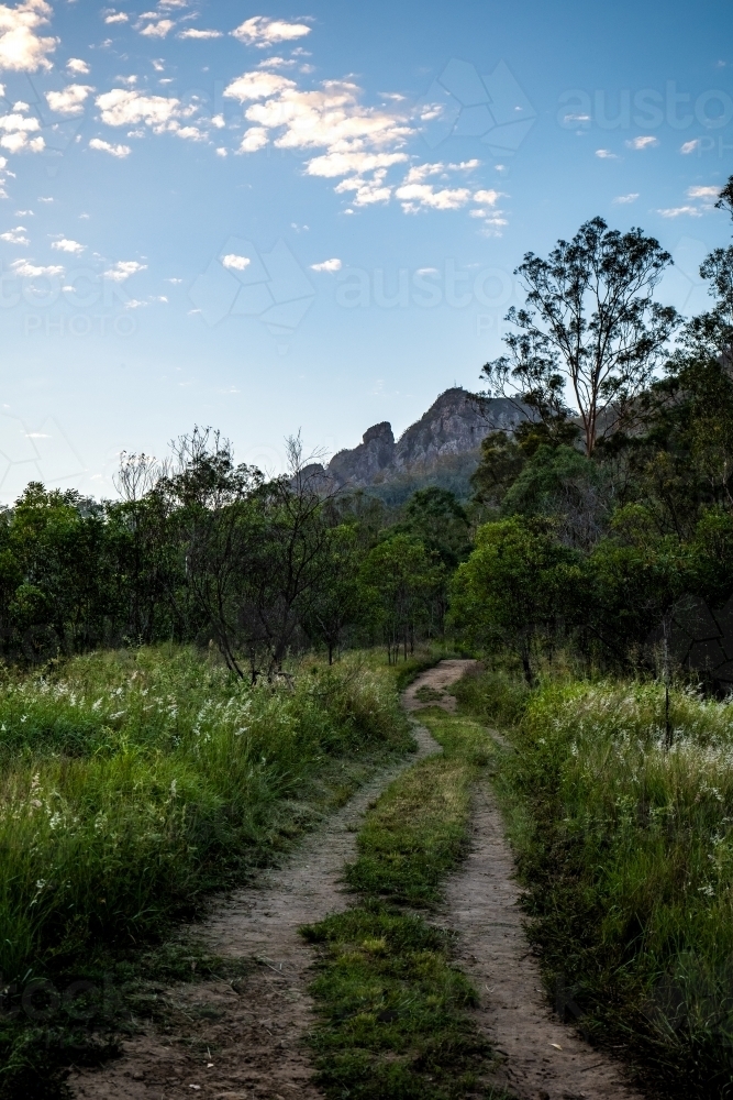 Pathway leading toward bushland and mountains with green grass under a blue sky - Australian Stock Image
