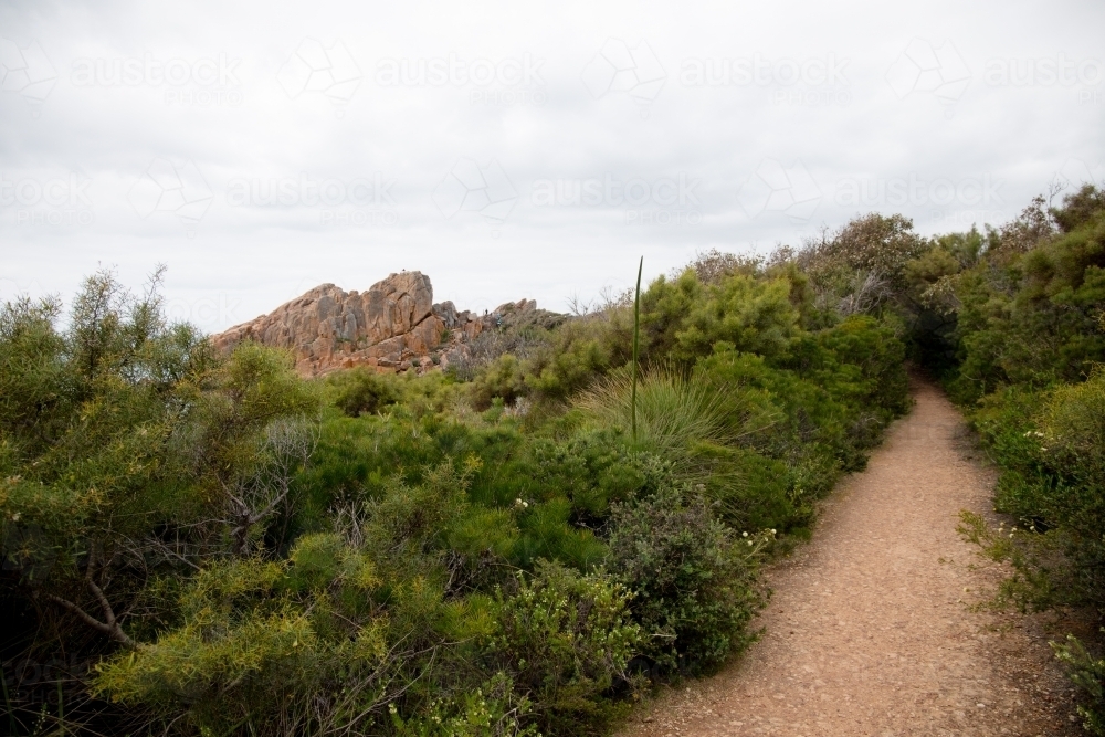 Pathway through green scrub vegetation with cloudy sky - Australian Stock Image