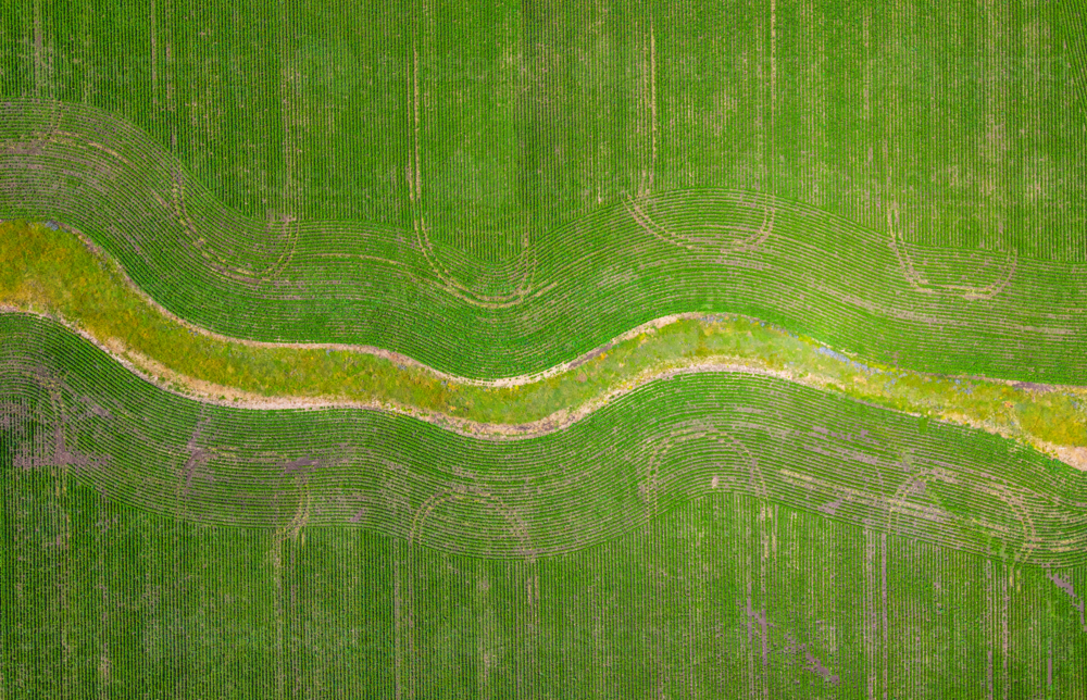 Patterns from the sky of Corn farm near Glen Innes, New South Wales - Australian Stock Image