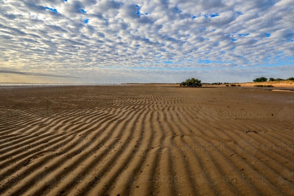 Patterns in sand leading to sun rising behind lone tree at low tide - Australian Stock Image