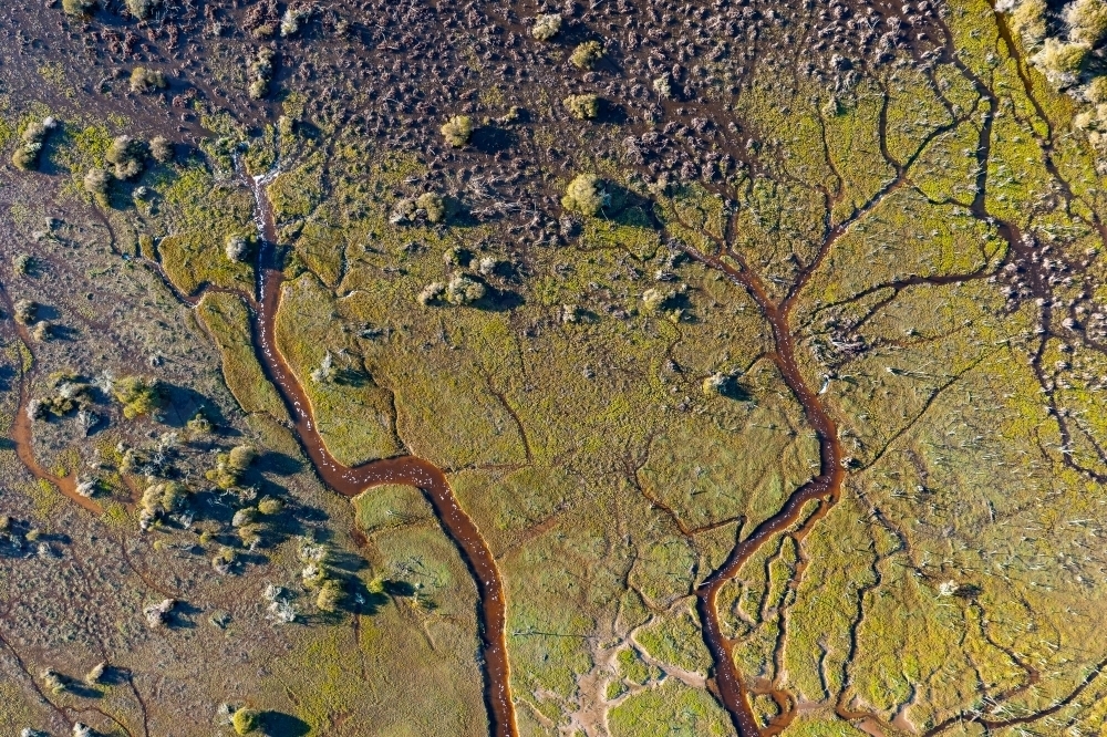 patterns in swampy landscape from above with bushes and creeks - Australian Stock Image