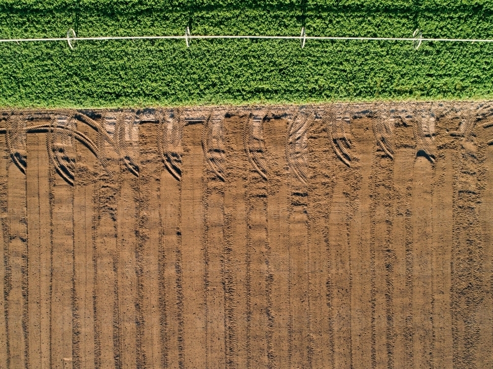 Patterns of green and brown in farm paddock - Australian Stock Image