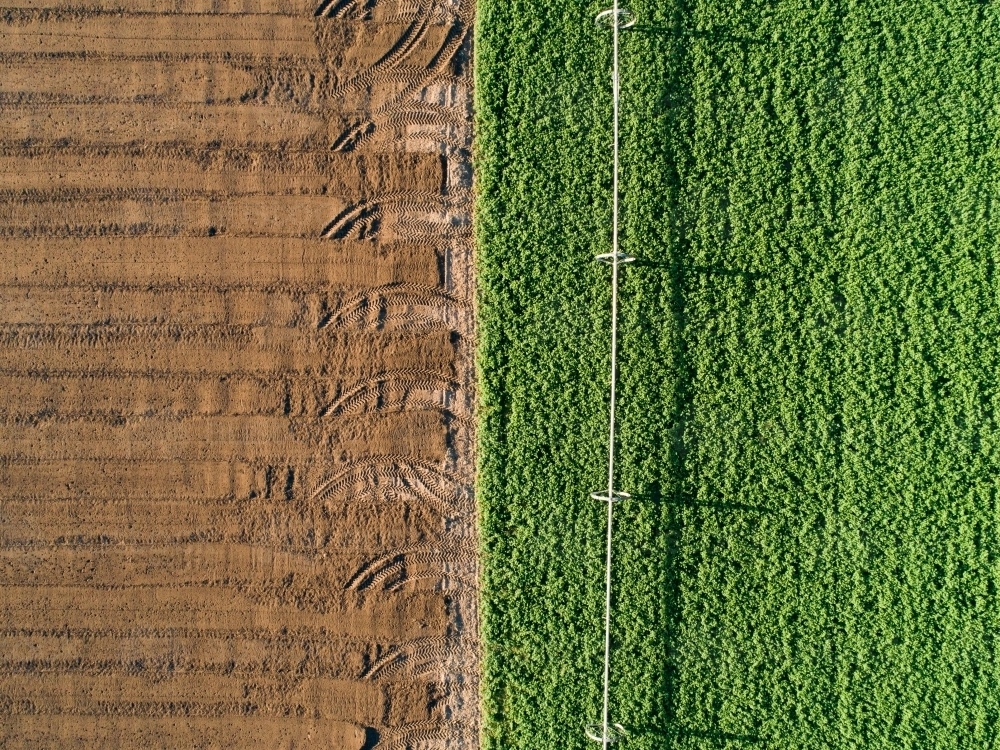 Patterns of green and brown in farm paddock - Australian Stock Image