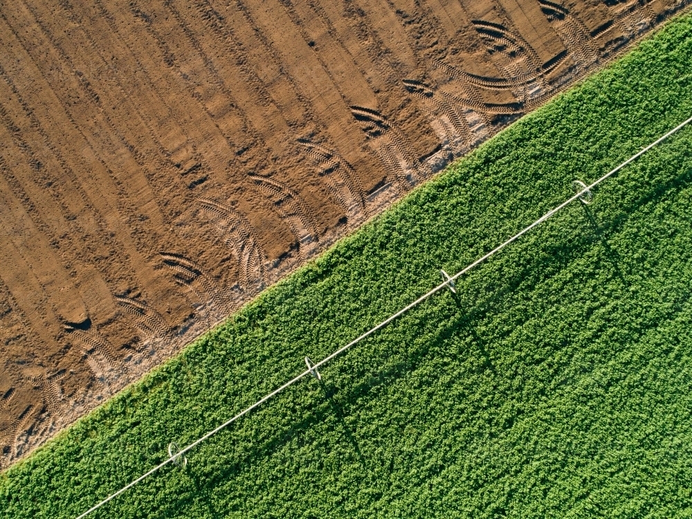Patterns of green and brown in farm paddock - Australian Stock Image