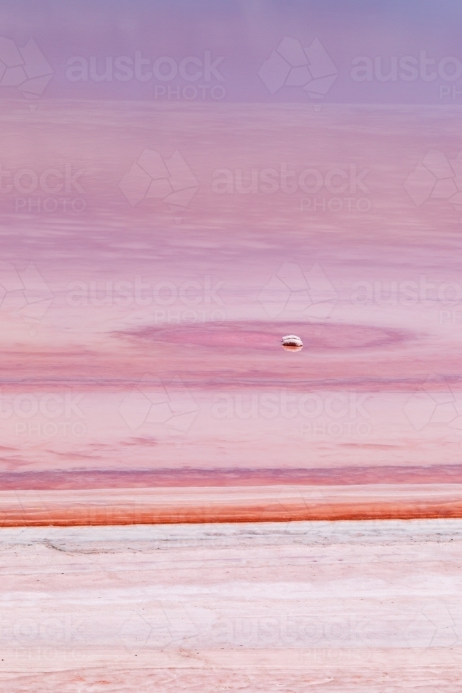 patterns on shore of pink salt lake as water evaporates - Australian Stock Image