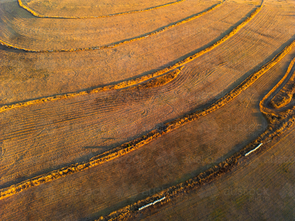 Patterns on the ground after machines have cut grass in a paddock - Australian Stock Image