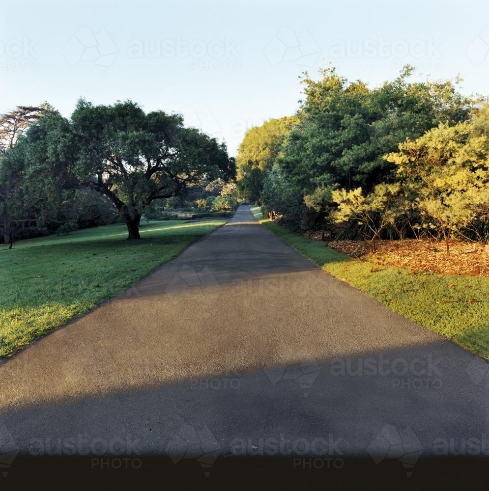 Paved pathways through parkland with light and shadow - Australian Stock Image