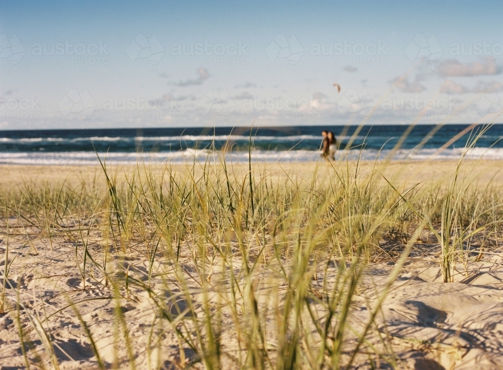 Peaceful Beach Walk Landscape with Grass, Sand, Water and Waves in the Backround - Australian Stock Image