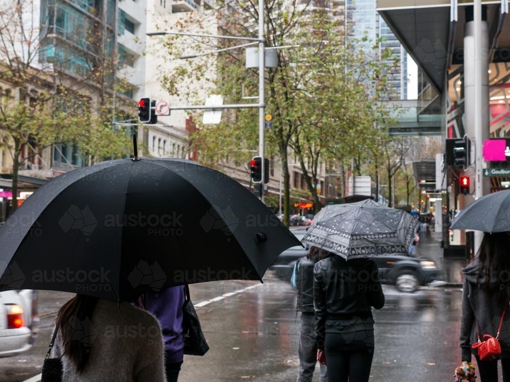 Pedestrians with umbrellas on a wet and cold Sydney day - Australian Stock Image
