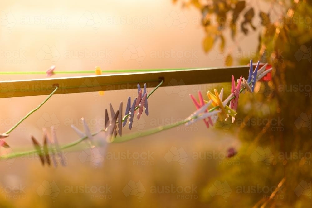 Pegs on a Suburban Clothes Line - Australian Stock Image