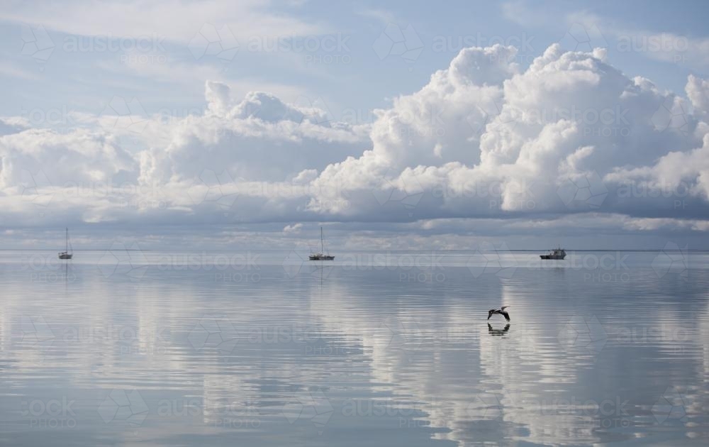 Pelican flying low over the bay towards three boats on horizon - Australian Stock Image