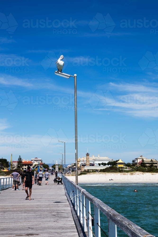 Pelican on jetty light pole with people walking underneath - Australian Stock Image