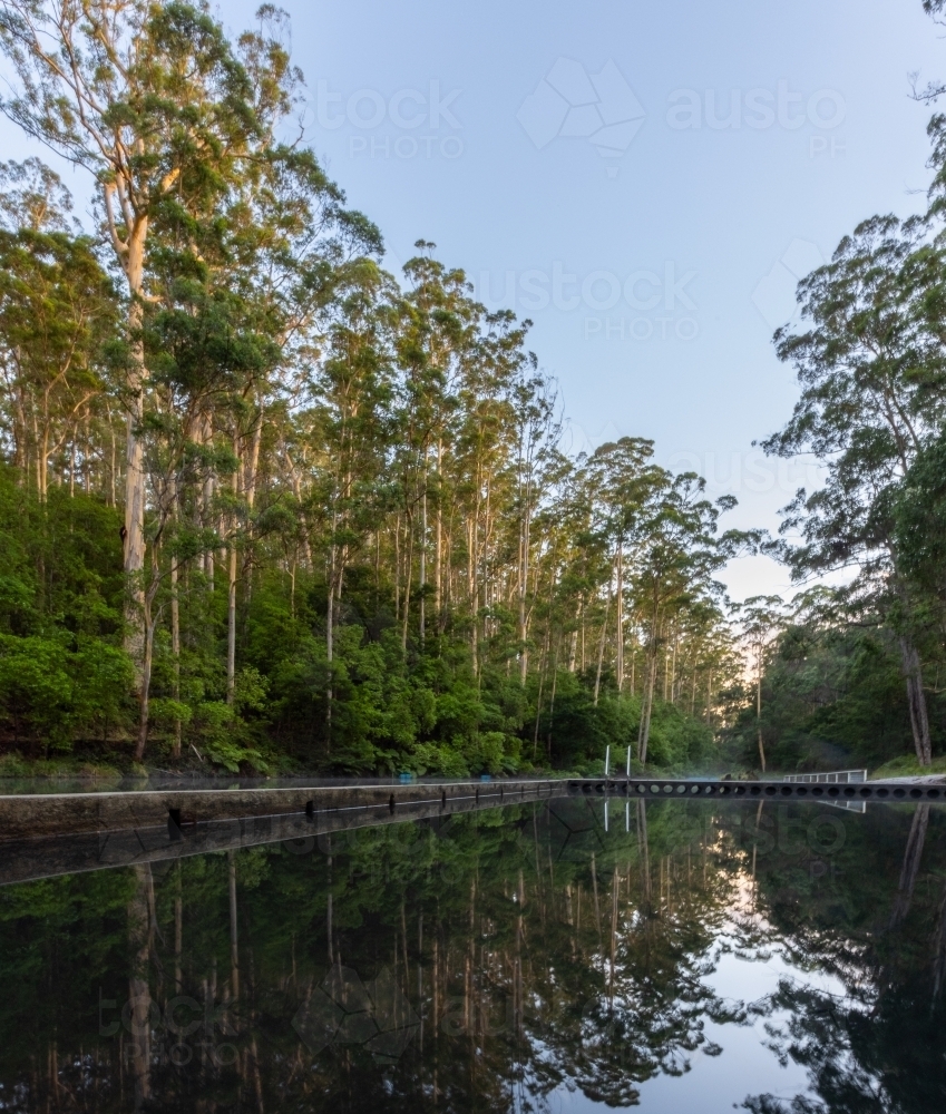 Pemberton pool with reflections of tall tress - Australian Stock Image