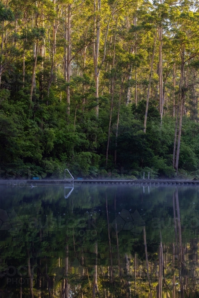 Image of Pemberton pool with still water and reflections of tall trees