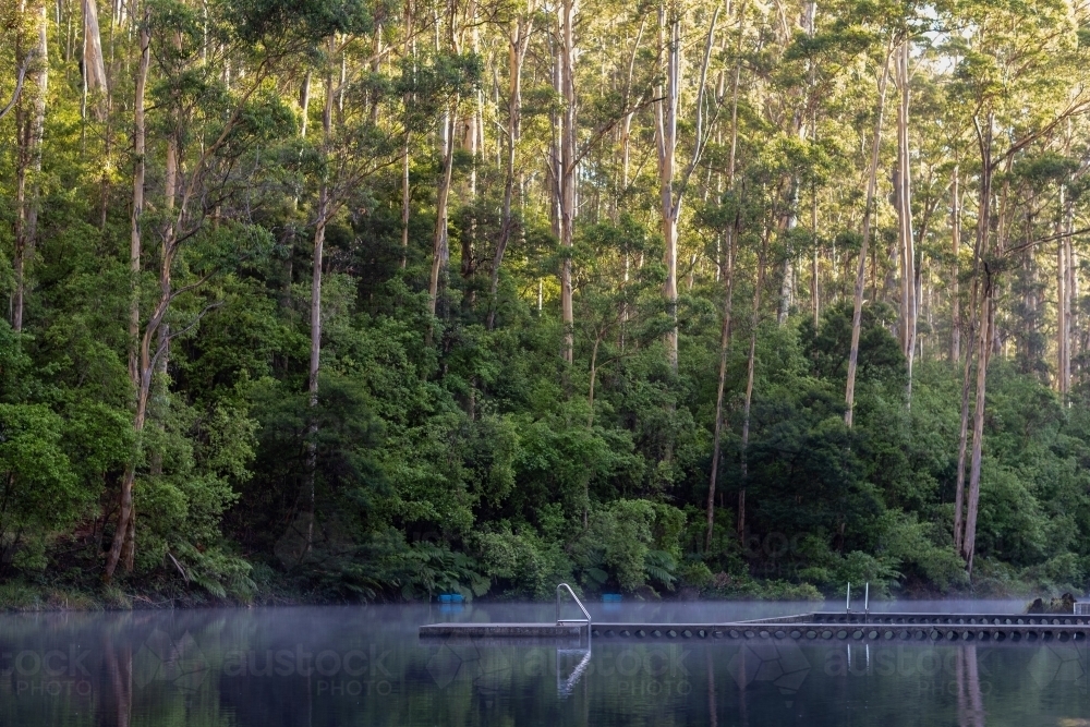 Image of Pemberton Pool with tall trees and still water in the early