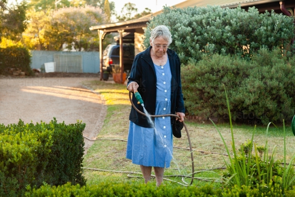 Pensioner woman watering her front garden on a summer evening - Australian Stock Image