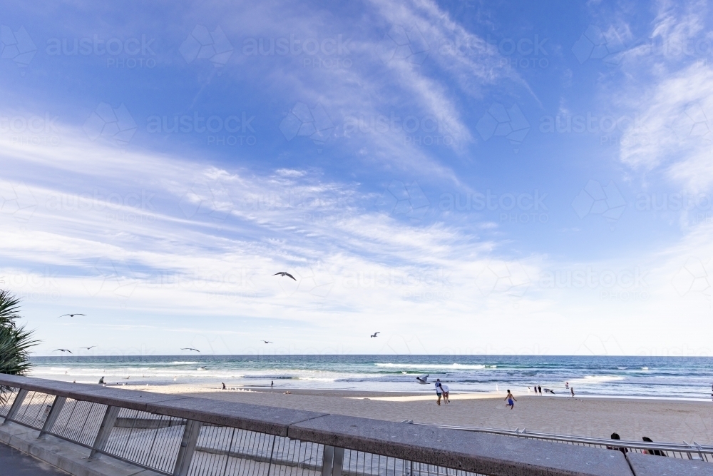 People and seagulls at Main Beach at Surfers Paradise on the Gold Coast - Australian Stock Image
