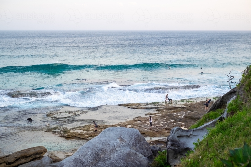 People and their dogs enjoying the coastal walk between Bondi and Tamarama beach - Australian Stock Image