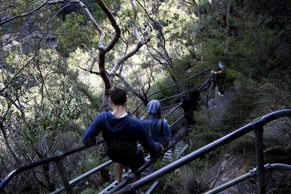 People going down stairs on a bush walk - Australian Stock Image