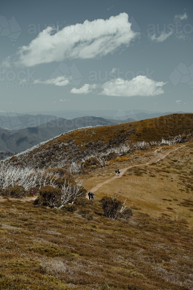 Trailhead Razorback Image of People hiking at the start of the Razorback Hiking Trailhead ...