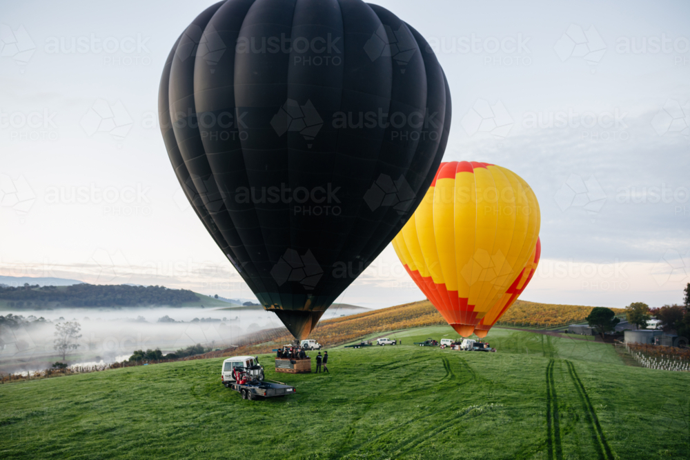 People Hot Air Ballooning taking off from green paddock surrounded by mist - Australian Stock Image