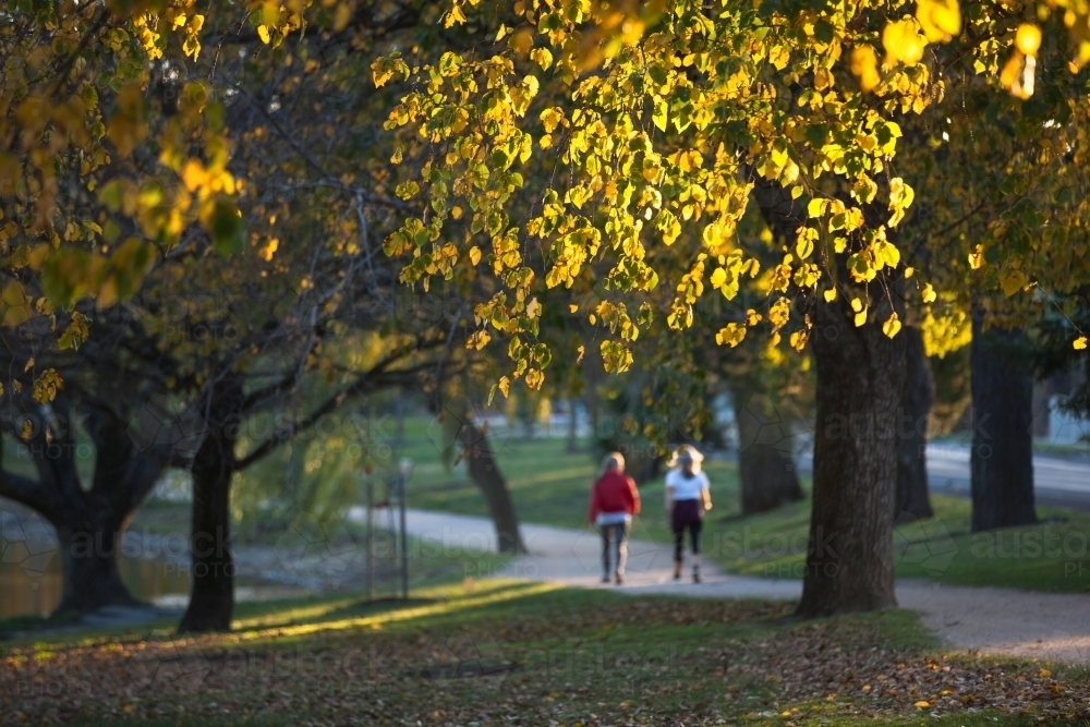 People on a walking track in Autumn - Australian Stock Image