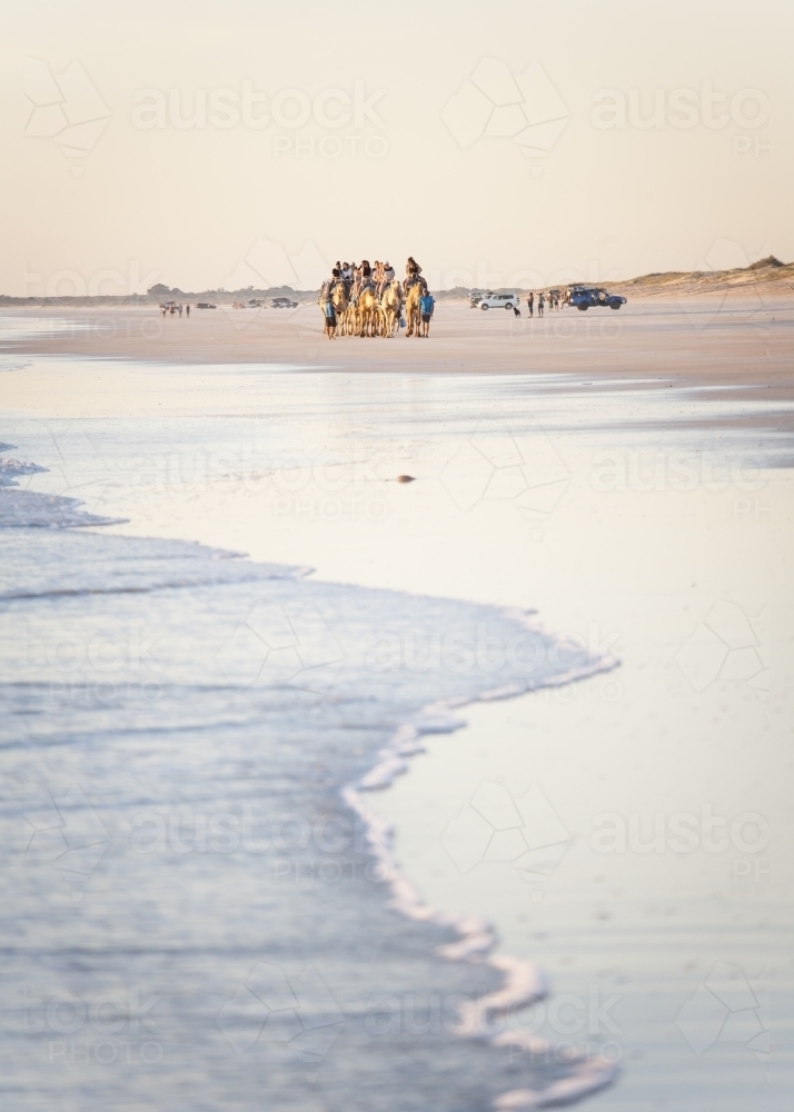 People riding camels in distance on beach - Australian Stock Image