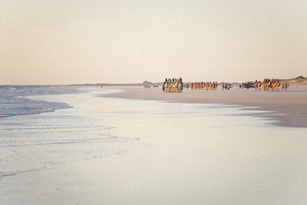 People riding camels in distance on remote beach - Australian Stock Image