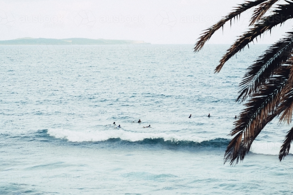 People surfing in the ocean - Australian Stock Image
