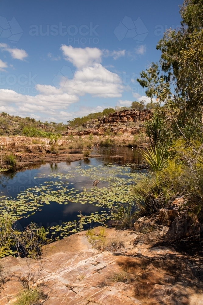 People swimming in a Kimberley Waterhole - Australian Stock Image