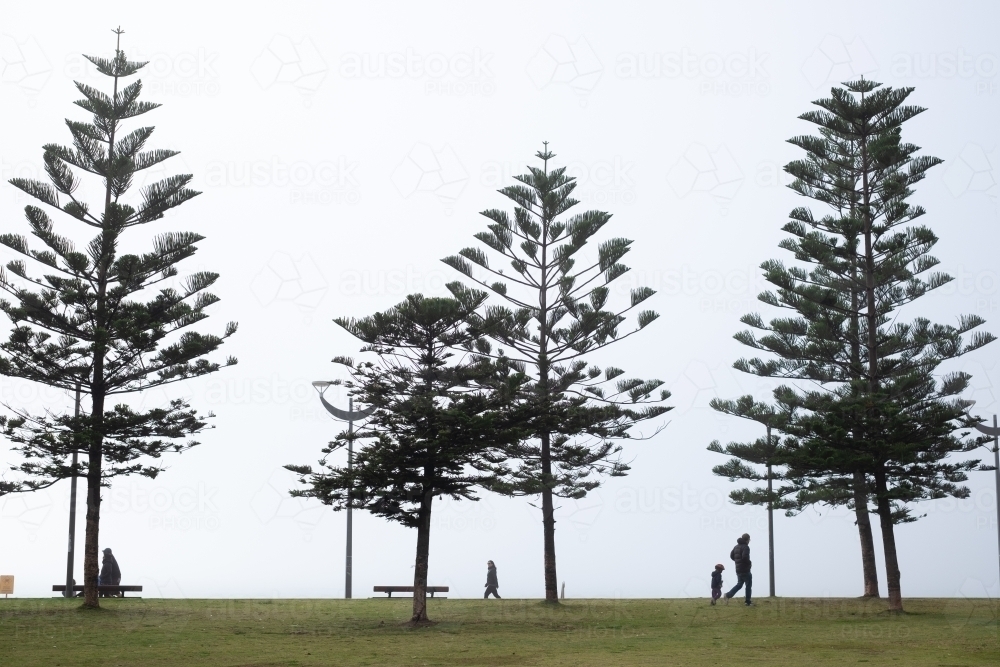people walking at the park in dense fog - Australian Stock Image
